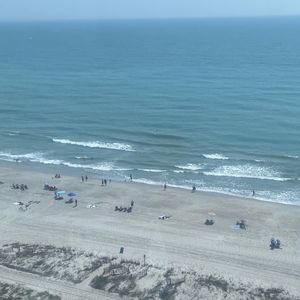 Meet your Posher, Sophia